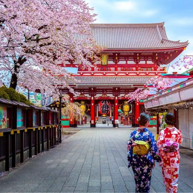 Sakura Zamanı Japonya Turu